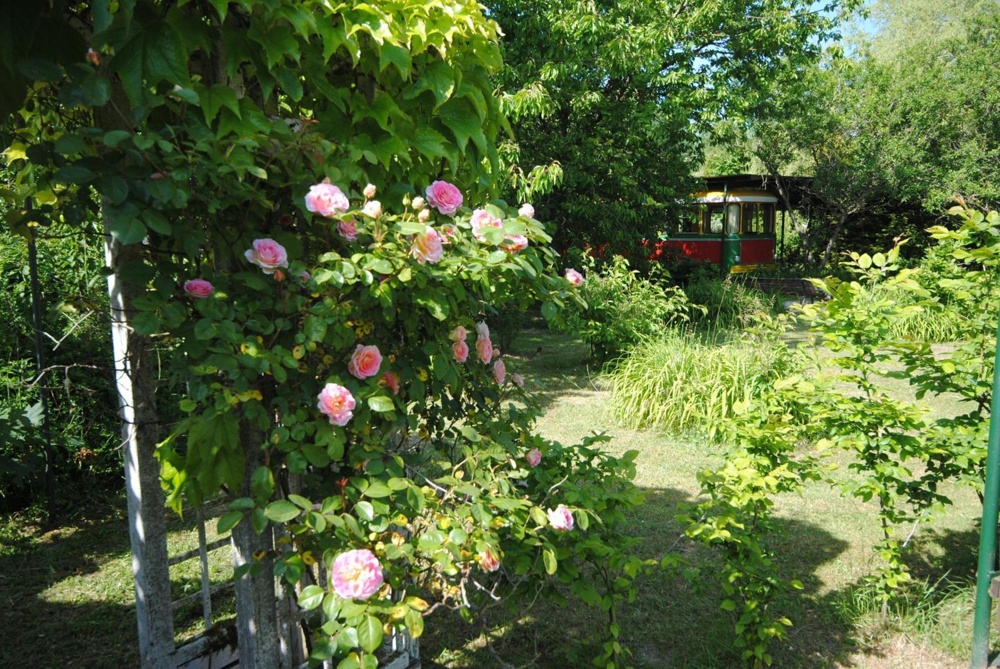 Les Insolites Du Grand Logis Marchais  Luaran gambar